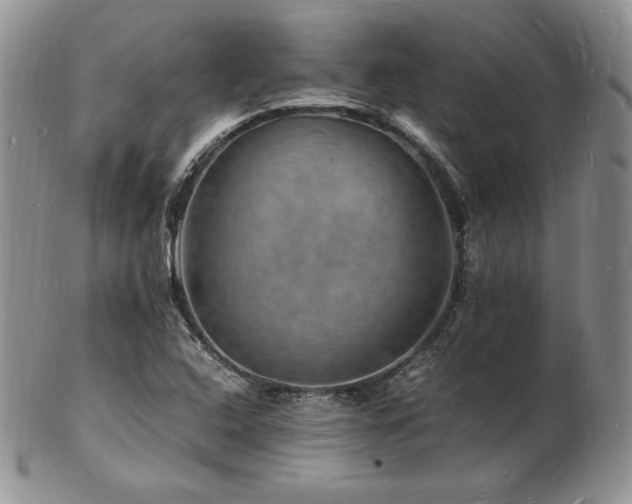 X0000103251408200808281453