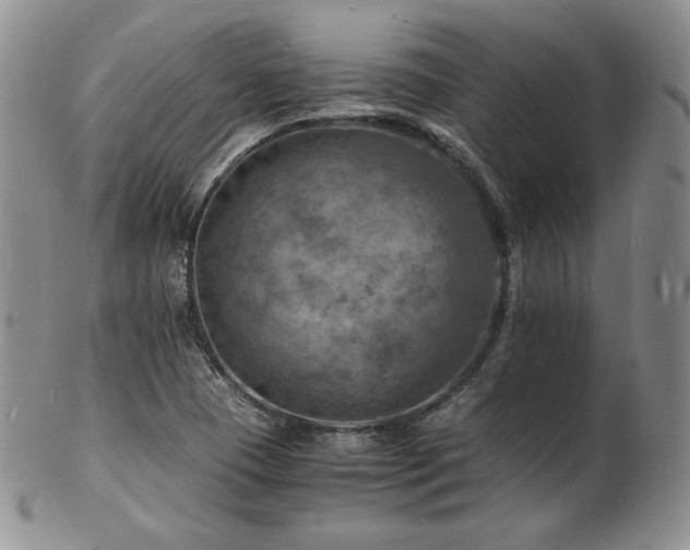 X0000103251409200808281453