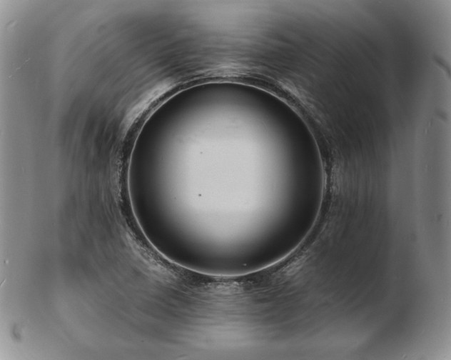 X0000103251410200808281453