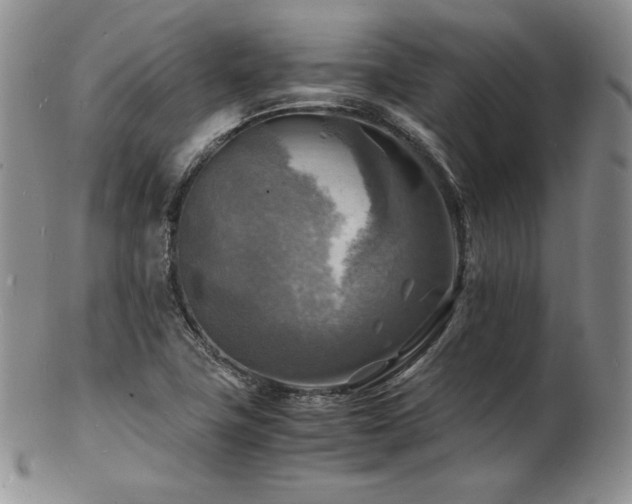 X0000103251411200808281453