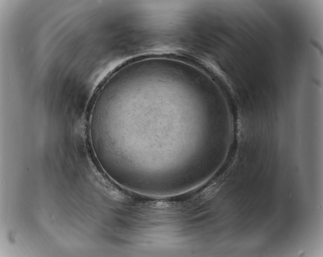 X0000103251412200808281453