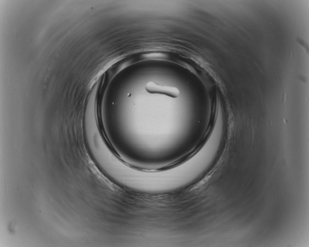 X0000103251417200808281453