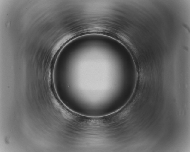 X0000103251418200808281453