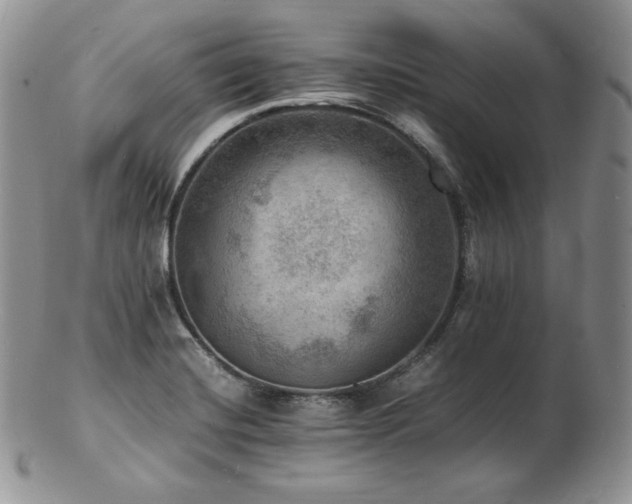 X0000103251420200808281453