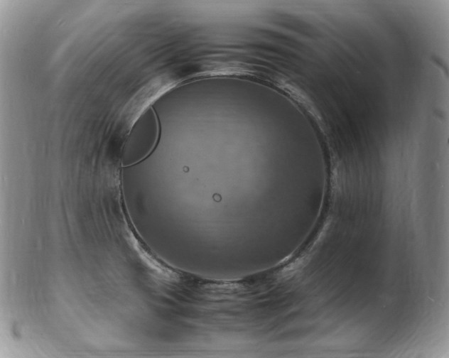 X0000103251425200808281453