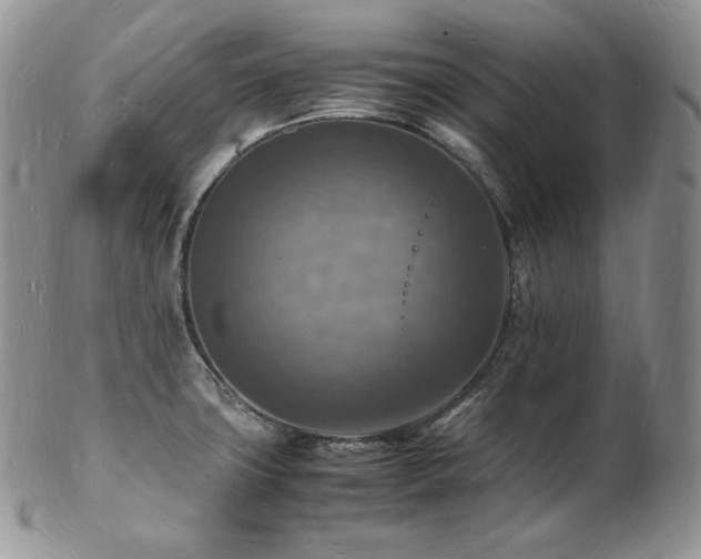 X0000103251427200808281453