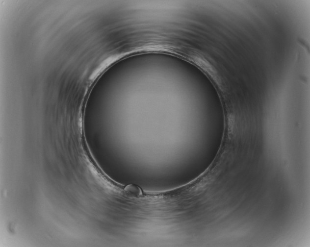 X0000103251428200808281453