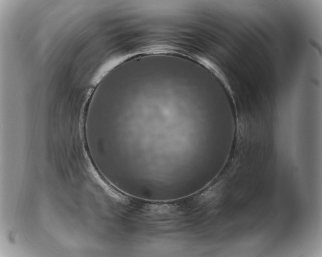 X0000103251429200808281453