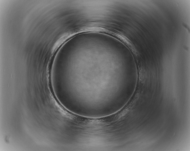 X0000103251430200808281453