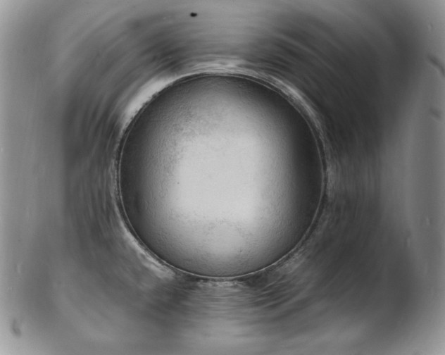 X0000103251432200808281453