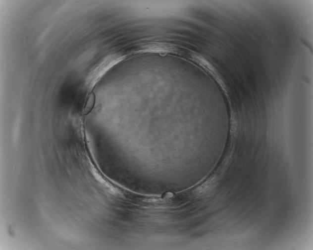 X0000103251433200808281453