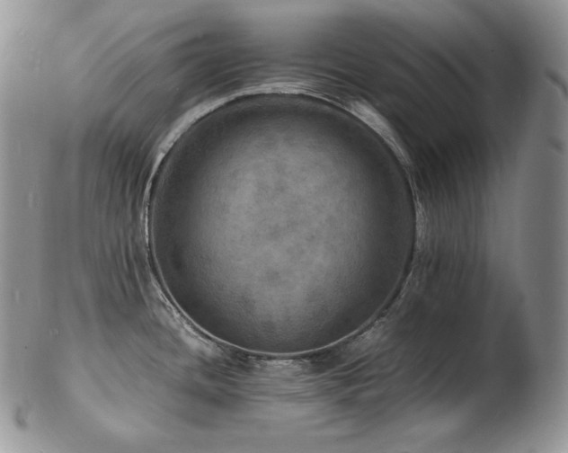 X0000103251436200808281453