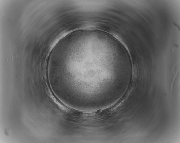 X0000103251437200808281453