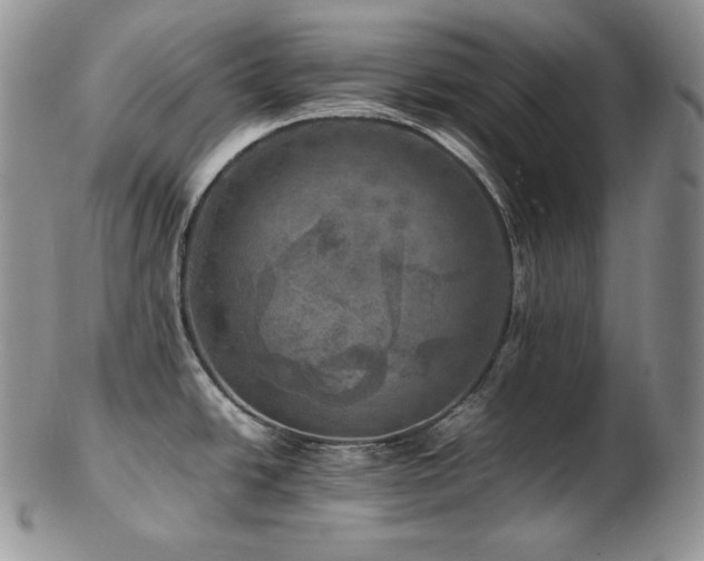 X0000103251438200808281453