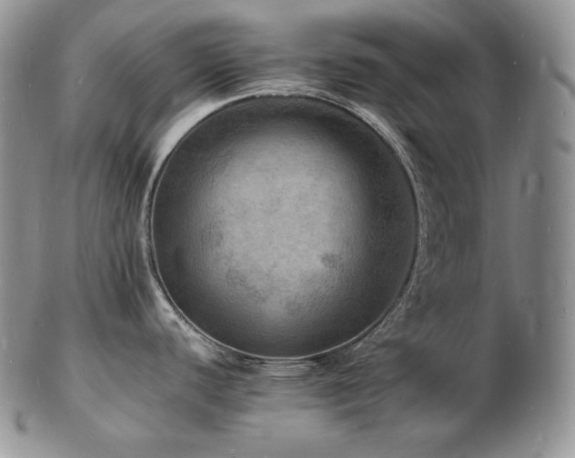 X0000103251440200808281453