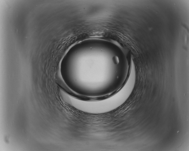 X0000103251441200808281453
