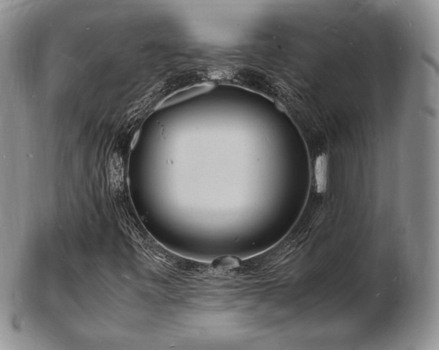 X0000103251443200808281453