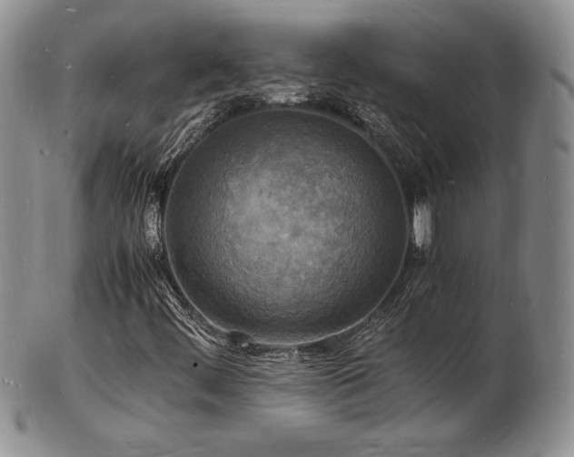 X0000103251444200808281453