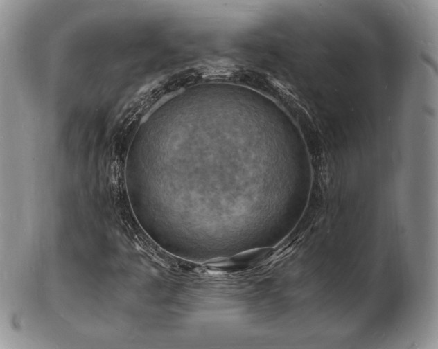 X0000103251445200808281453