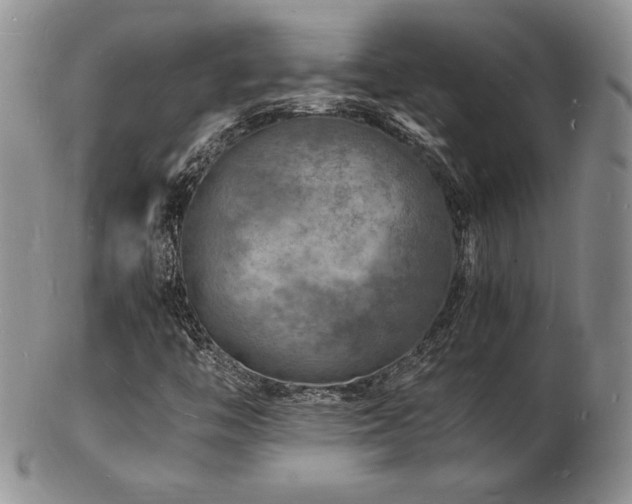 X0000103251446200808281453