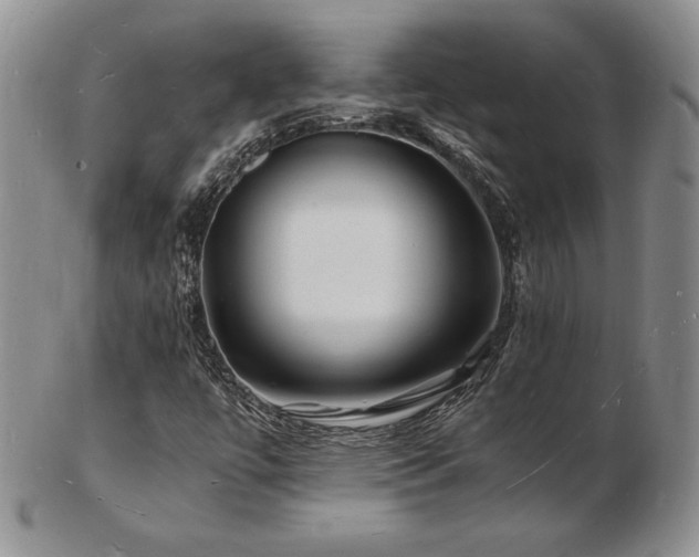 X0000103251447200808281453