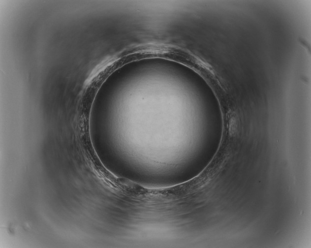 X0000103251448200808281453
