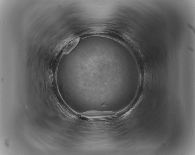 X0000103251449200808281453