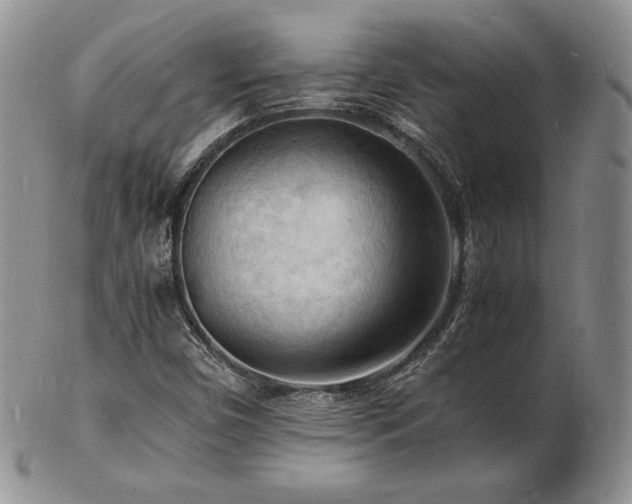 X0000103251450200808281453