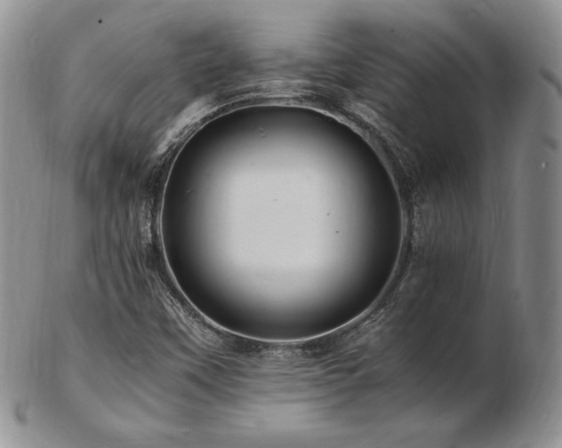 X0000103251451200808281453