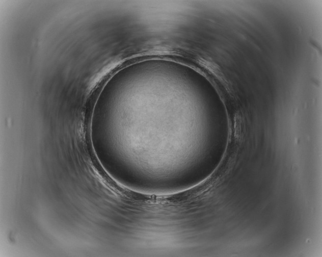 X0000103251452200808281453