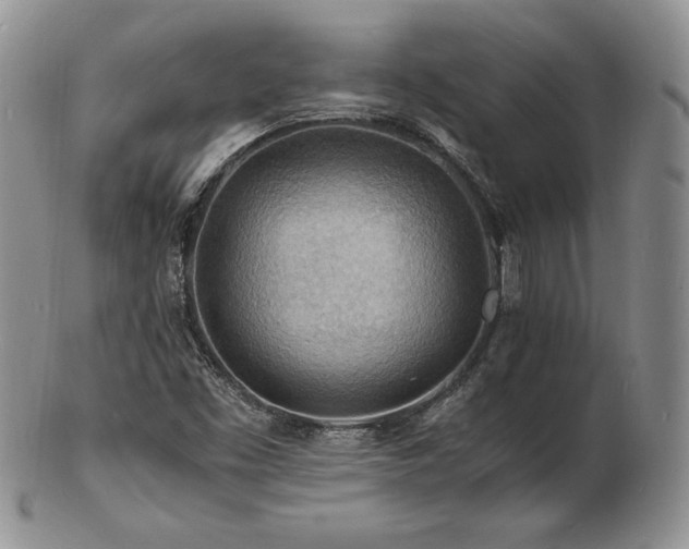 X0000103251453200808281453
