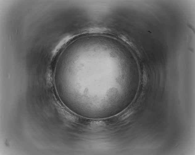 X0000103251454200808281453