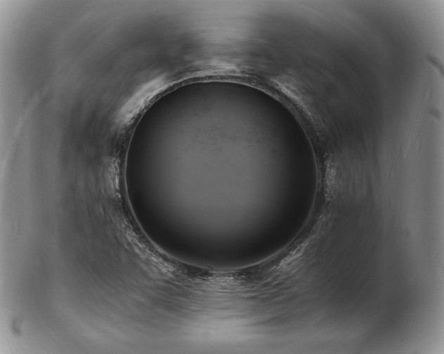 X0000103251455200808281453