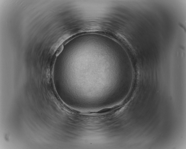 X0000103251457200808281453