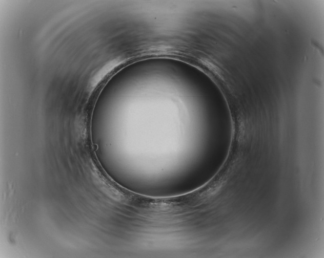 X0000103251458200808281453