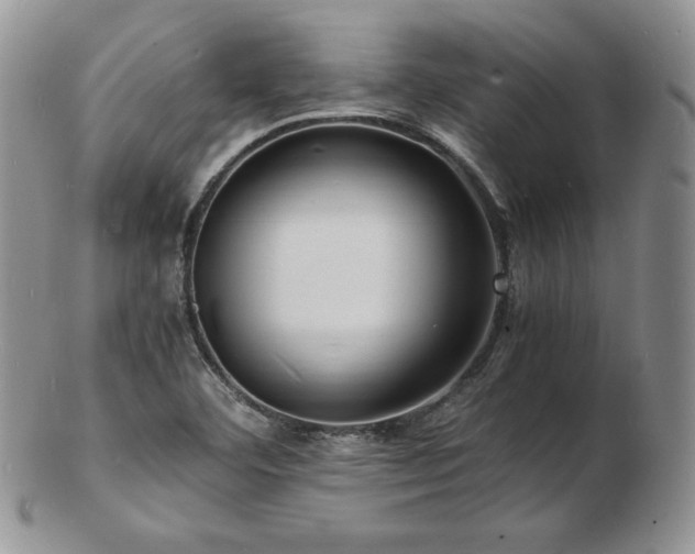X0000103251460200808281453