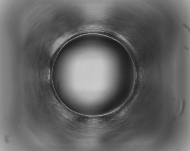 X0000103251461200808281453