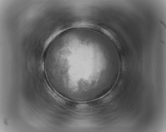 X0000103251462200808281453