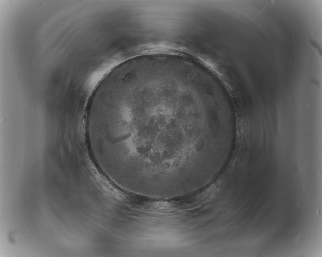 X0000103251463200808281452