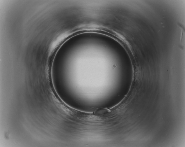 X0000103251464200808281452