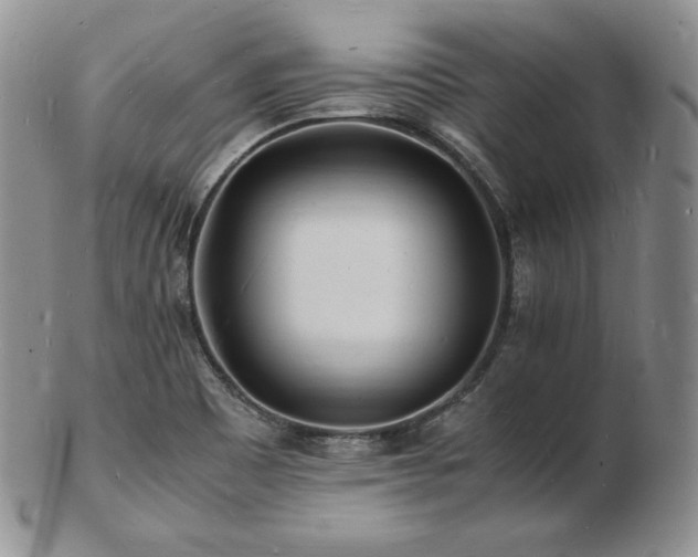 X0000103251465200808281452
