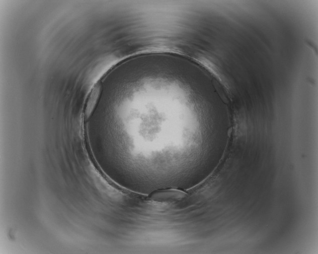 X0000103251468200808281452