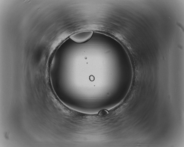 X0000103251469200808281452