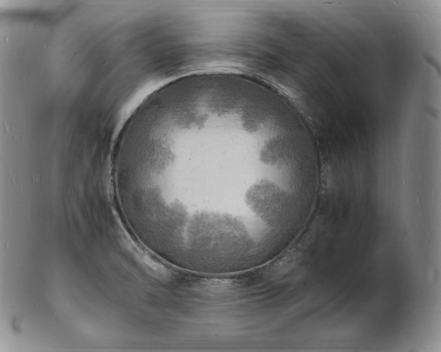 X0000103251470200808281452