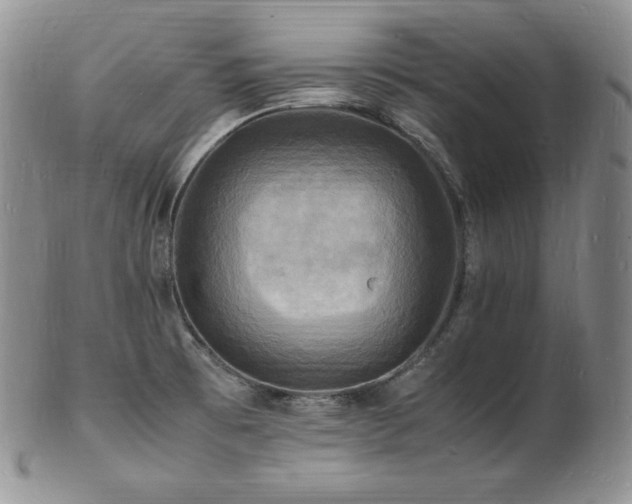 X0000103251473200808281452