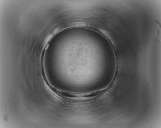 X0000103251475200808281452