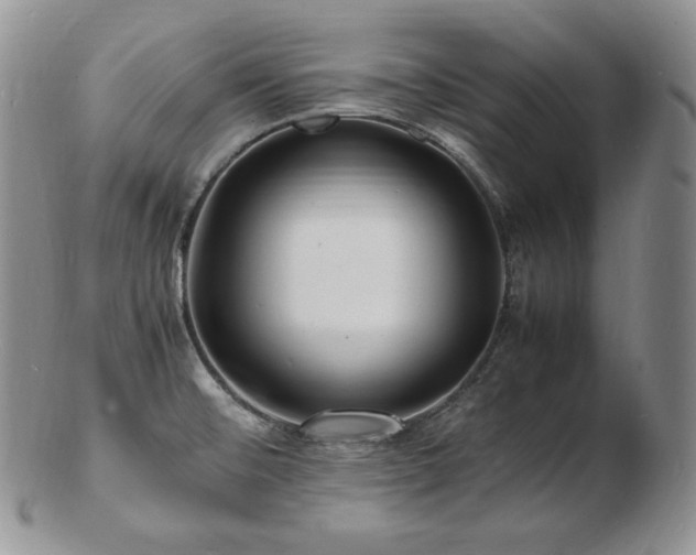 X0000103251476200808281452