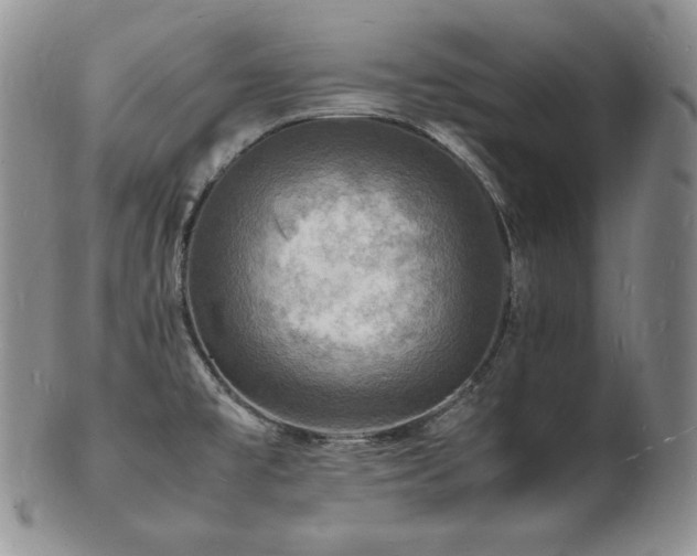X0000103251477200808281452