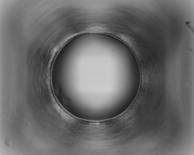X0000103251478200808281452