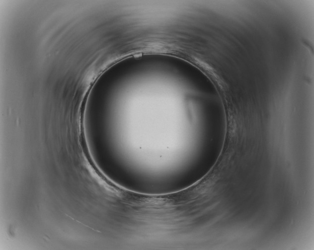X0000103251479200808281452